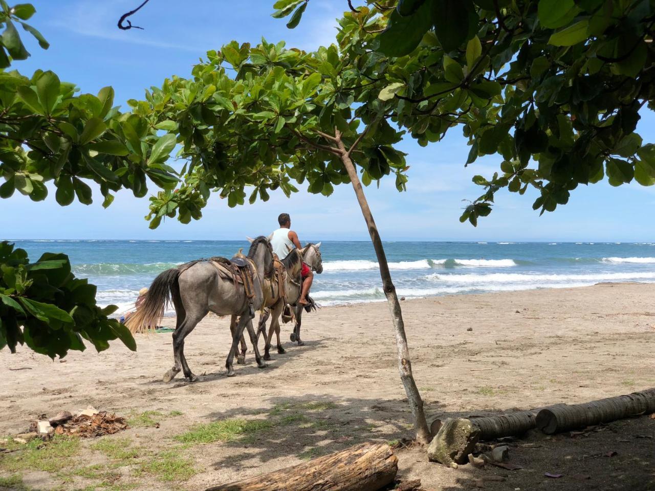 Macao Beach Самара Экстерьер фото